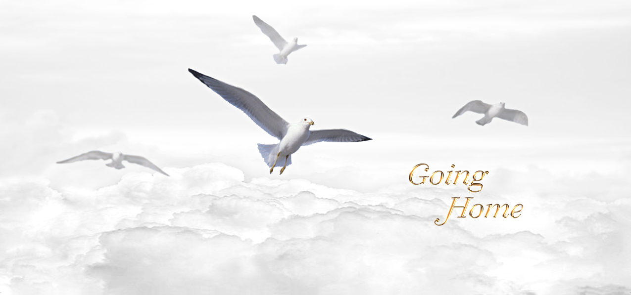 Going Home Clouds Birds Gold White